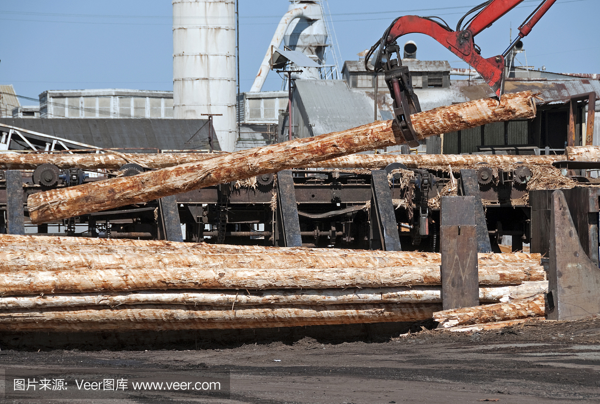 在伐木廠,起重機(jī)在堆垛去皮的原木